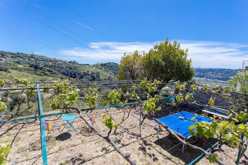 Echapee Belle - Vinayard View - Jacuzzi Bbq - Parking Nice Exterior foto