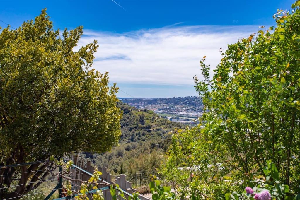 Echapee Belle - Vinayard View - Jacuzzi Bbq - Parking Nice Exterior foto