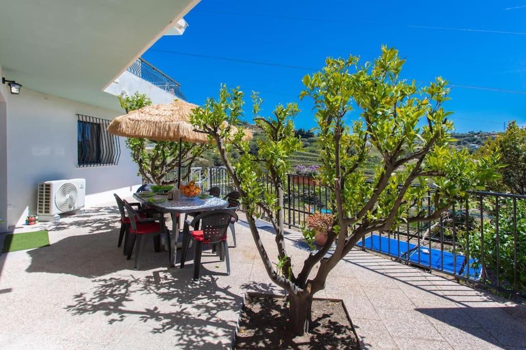 Echapee Belle - Vinayard View - Jacuzzi Bbq - Parking Nice Exterior foto