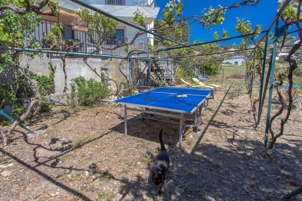 Echapee Belle - Vinayard View - Jacuzzi Bbq - Parking Nice Exterior foto